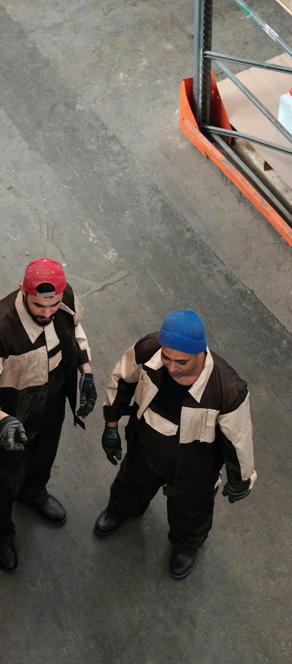 pexels tiger lily 4480795 cropped